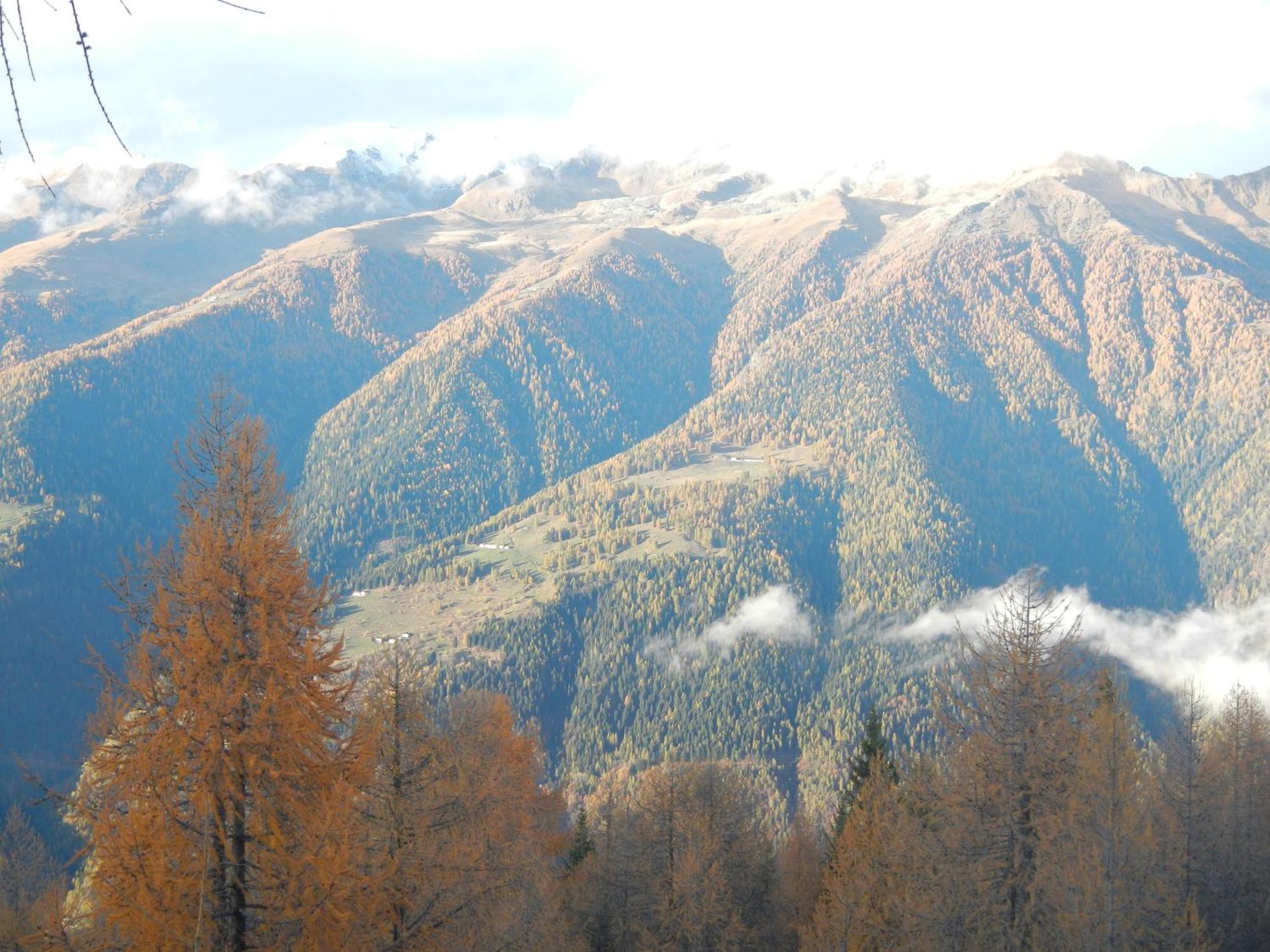 Villetta Val Di Sole Commezzadura Exterior foto